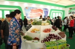 青海（海东）首届高原特色农产品展交会在乐都区开幕 - Qhnews.Com