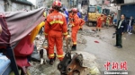 温州房屋倒塌救援现场。 杨青 摄 - 青海热线
