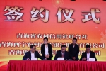 青海省旅游产业促进基金启动 预计融资总规模达30亿 - Qhnews.Com