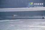 冬至时，在莲花湖上感受冬的美丽 - Qhnews.Com