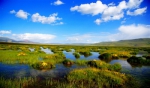 青海新增4处国家湿地公园 总面积已达32.51万公顷 - 社科院