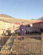 新春走基层 深化走转改：“羊倌儿”保广寿的“这两年” - Qhnews.Com
