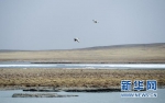 【世界水日】上帝视角带你去看看青海的江湖 - Qhnews.Com