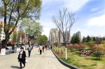 西宁：在奋力打造绿色发展样板城市的路上 - Qhnews.Com