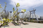 西宁：在奋力打造绿色发展样板城市的路上 - Qhnews.Com