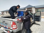 提前迎来迁徙 青海可可西里管理局为藏羚羊“保驾护航” - Qhnews.Com