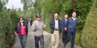 国家林业局专题调研西宁南北山绿化工作 - 林业厅