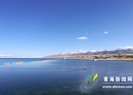 1至10月份青海湖景区旅游人次突破300万 - Qhnews.Com