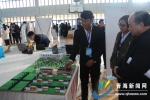 青海省第三届大学生生态文明建设创意作品大赛开赛 - Qhnews.Com