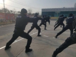 湟源县公安局特巡警大队开展警务技能冬季训练 - 公安局