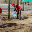 【省交通通信中心】省交通通信中心志愿者积极参加社区“我为树木浇浇水”活动 - 交通运输厅