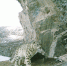 阿尼玛卿山捕获515次雪豹活动影 该区域存在健康的雪豹种群 - Qhnews.Com