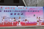 第十七届省运会暨第二届全民健身大会将吸引数十万青海人参与 雪豹成吉祥物 - Qhnews.Com