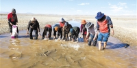 黄河源头，4万余条被困洄游湟鱼“获救” - 人民政府