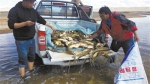黄河源头，4万余条被困洄游湟鱼“获救” - 人民政府