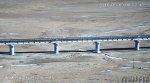 青海生态之窗实时观测藏羚羊近一月通过青藏铁路五道梁北大桥迁徙数量再创新高 - 西宁市环境保护局