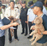 全市养犬管理专项整治行动成效显著 - 公安局