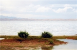青海湖“沙岛景区”关停以后  沙岛将变成“绿岛” - Qhnews.Com