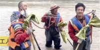 为他们点赞：4位河道打捞员 - Qhnews.Com