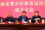 少年强则中国强 青海省青少年体育运动协会成立 - 青海热线