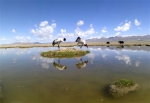 青海祁连山地区首次采集到黑颈鹤孵化影像 - 林业厅