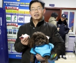 西宁市今起免费办理首批《养犬登记证》及犬牌 - Qhnews.Com