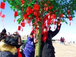 青海湖元旦徒步活动走过八个年头 - Qhnews.Com