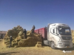 近日20辆饲草运输车从黄南州出发驰援玉树灾区 - Qhnews.Com