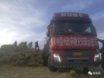 近日20辆饲草运输车从黄南州出发驰援玉树灾区 - Qhnews.Com