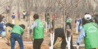 2019年义务植树活动举行
让大美青海充满绿色更加美丽
王建军刘宁多杰热旦参加植树 - 人民政府