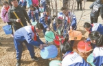 2019年义务植树活动举行
让大美青海充满绿色更加美丽
王建军刘宁多杰热旦参加植树 - 人民政府
