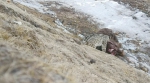 生态管护员拍到雪豹进食画面 - Qhnews.Com