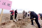 省高级法院积极参加“青海省厅局长林”春季义务植树活动 - 法院