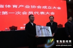青海省体育产业协会在西宁成立 - Qhnews.Com