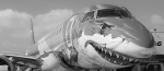 西宁机场来了一条“大鲨鱼” 10日至14日静态展示15日演示飞行 - Qhnews.Com