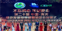 第六届环青海湖（国际）电动汽车挑战赛颁奖 各大奖项名花有主 - Qhnews.Com