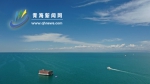 【2019网媒行专稿】青海湖：碧水绿岸生态美 - Qhnews.Com