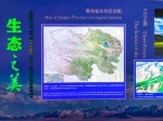 新时代的中国：大美青海 从三江源走向世界 - Qhnews.Com
