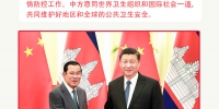 习近平战"疫"时期的外交:中国的承诺与践诺 - 人民政府