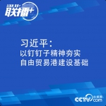联播+丨习近平：以钉钉子精神夯实自由贸易港建设基础 - Qhnews.Com