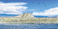 青海加快打造国际生态旅游目的地 - 人民政府
