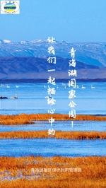 青海湖国家公园有奖征集形象标志及宣传语 - Qhnews.Com