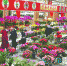 春节期间，市民纷纷走进花博园赏花购花。 - Qhnews.Com