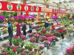 春节期间，市民纷纷走进花博园赏花购花。 - Qhnews.Com