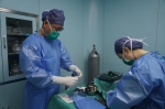青海西宁首例人工耳蜗植入手术成功实施 - Qhnews.Com