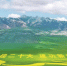 【热烈庆祝海南藏族自治州成立70周年】绿色是大湖南岸最亮的底色 - Qhnews.Com
