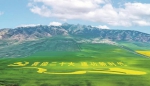 【热烈庆祝海南藏族自治州成立70周年】绿色是大湖南岸最亮的底色 - Qhnews.Com