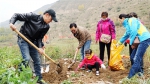 昨日，寂静的小山村沸腾了 - Qhnews.Com