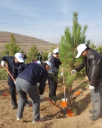 省局领导到城东区塔尔山林场参加义务植树活动 - 地方税务局