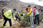 长岭沟蓓蕾绽放 “红领巾”植树增绿（图） - 水利厅